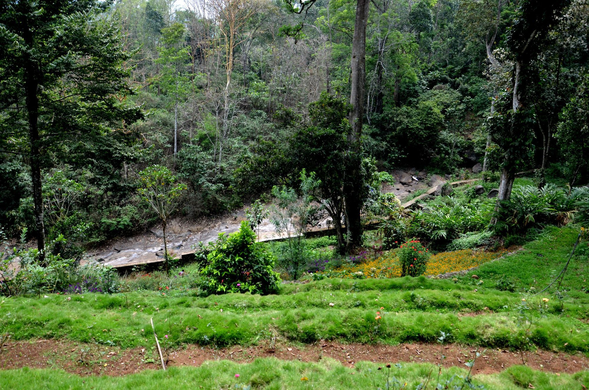 Bamboo Dale Ξενοδοχείο Munnar Εξωτερικό φωτογραφία